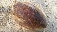 絶好の釣り日和！となれば？ 2016/02/12 07:51:24