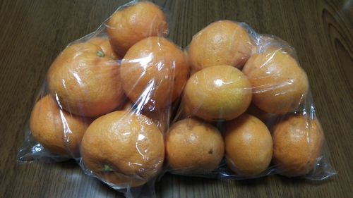 2016年　納釣までの軌跡