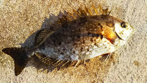 自然は常に想定外