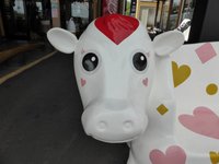 求品案内　アマチュア無線機 2015/12/24 08:21:06