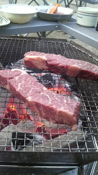 始まりました。 2014/05/04 18:15:34