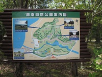 涸沼自然公園SWキャンプ 2015/11/08 20:44:23