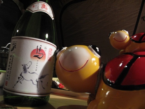 年越しキャンプ  その３