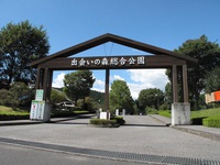 出会いの森に行って来ました