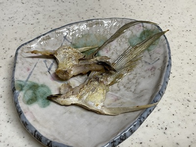 アジ三昧♪