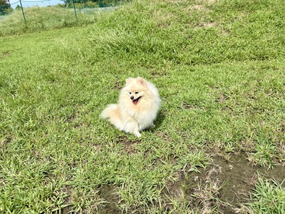 向かい風が強かったんですが