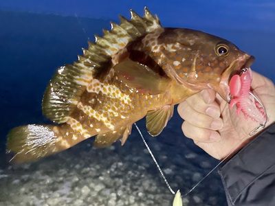 昨日よりかは釣りやすかったんですが