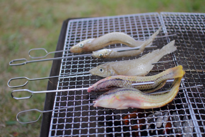 2015 ヒメボタルキャンプ