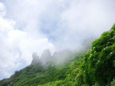 お花畑にイ・ク・ワ・ヨ～！ 一人旅♪