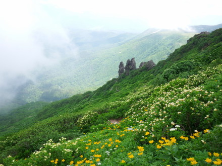 お花畑にイ・ク・ワ・ヨ～！ 一人旅♪