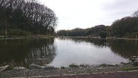 雨上りのお寺（2015.3.7）