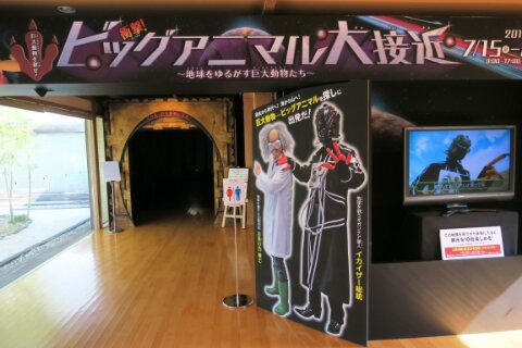 お得な朝！