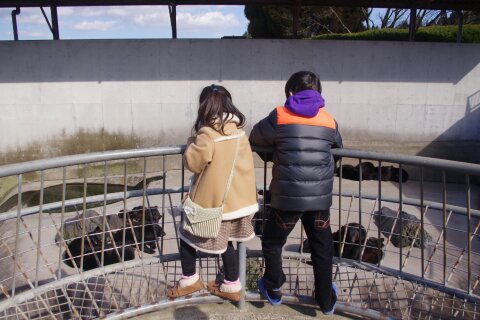 阿蘇で動物触れ合い三昧！