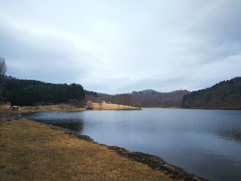 大晦日の朝！