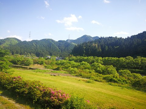後半戦はノンビリ！