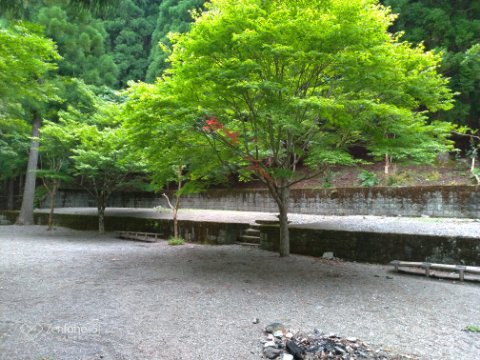 徳島：二重かずら橋の朝！