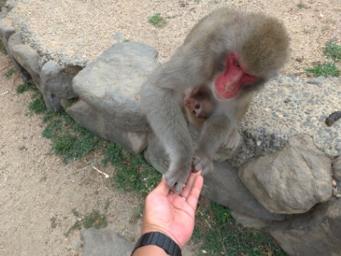 小豆島堪能中！