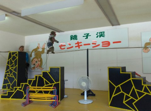 小豆島堪能中！