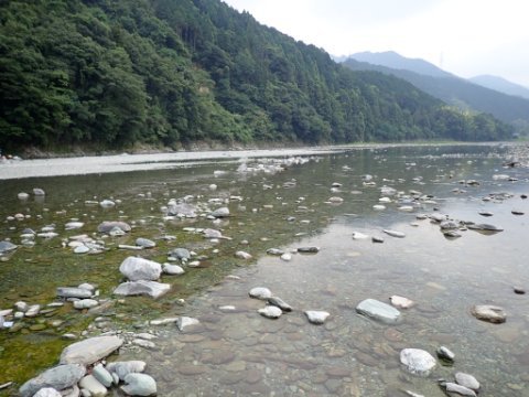 最後は加茂川に設営！