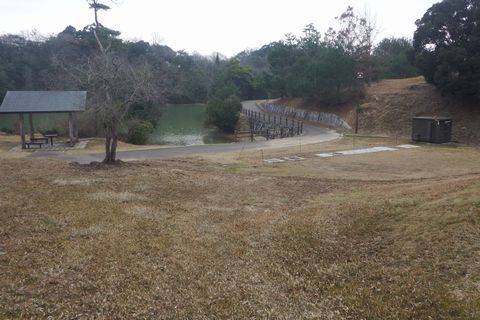 朝から視察！
