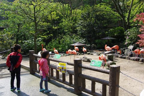 GW前半終了