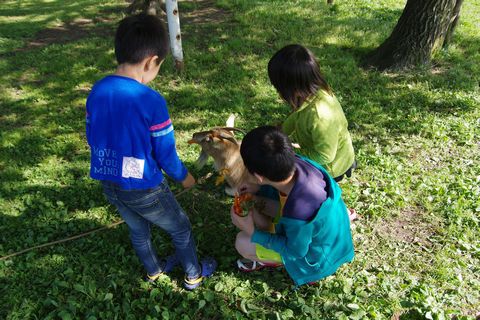 阿蘇キャンプ～2015GW⑥～小国散策編