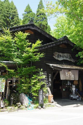 阿蘇キャンプ～2015GW⑥～小国散策編