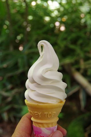 阿蘇キャンプ～2015GW⑥～小国散策編