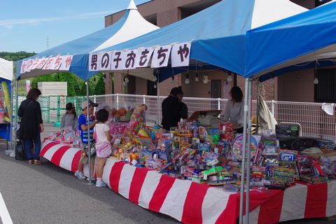豊田の蛍祭り
