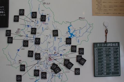 豊田の蛍祭り