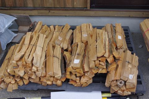 豊田の蛍祭り