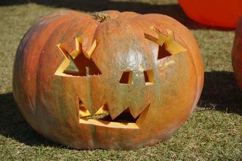 ハロウィンキャンプ終了！