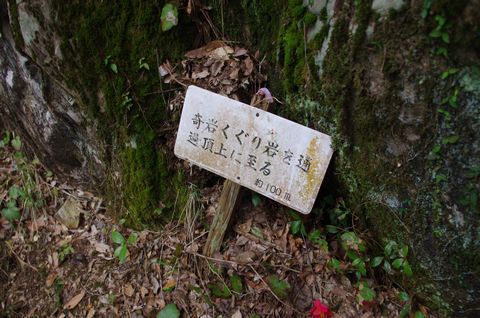 今期山活動開始！（荒滝山）
