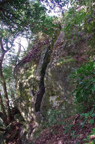 今期山活動開始！（荒滝山）