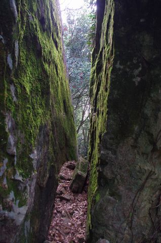 今期山活動開始！（荒滝山）