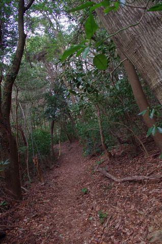 今期山活動開始！（荒滝山）