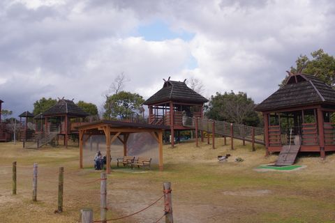 吉野ヶ里歴史公園：佐賀県観光