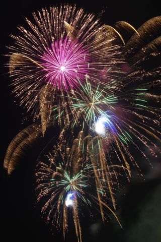 夏の定番！