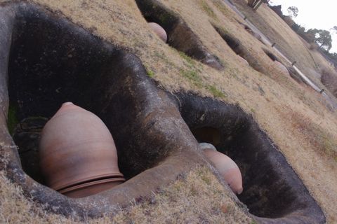 吉野ヶ里歴史公園：佐賀県観光
