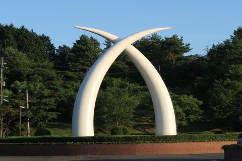 サファリ堪能（アフリカンサファリ）