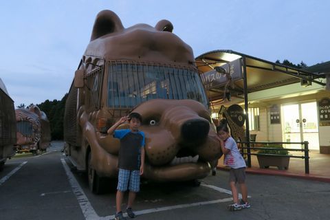 サファリ堪能（アフリカンサファリ）