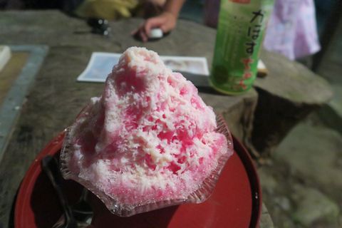 別府大平山温泉『おかたの湯』