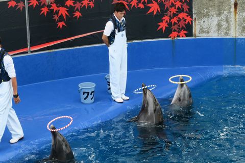 うみたまごレポ（大分県別府市）