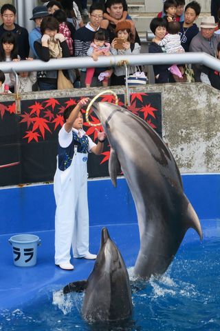うみたまごレポ（大分県別府市）