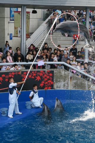 うみたまごレポ（大分県別府市）