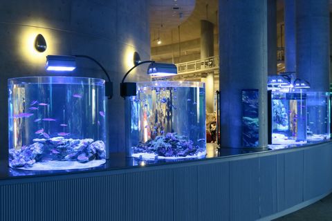 うみたまごレポ（大分県別府市）