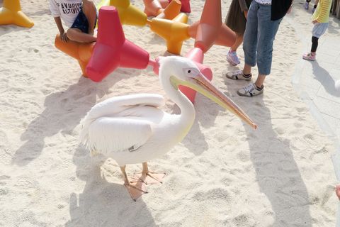 うみたまごレポ（大分県別府市）
