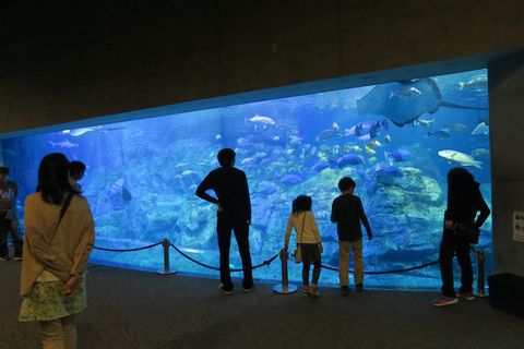 うみたまごレポ（大分県別府市）