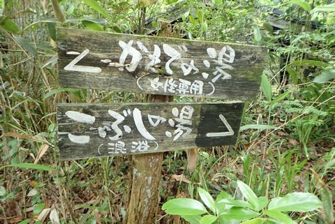 筌の口温泉：新清館（温泉レポ）