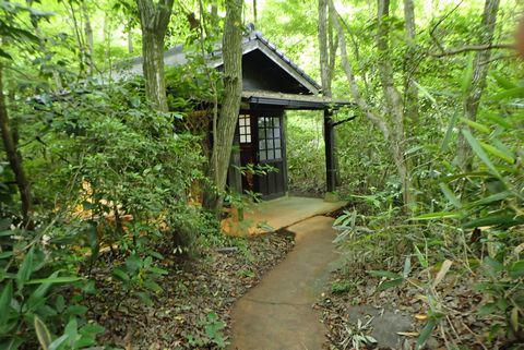 筌の口温泉：新清館（温泉レポ）